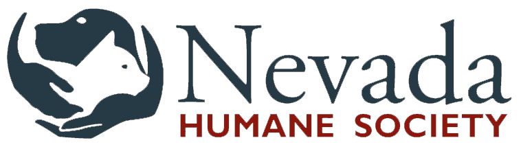 The Importance of Enrichment and Exercise – Nevada Humane Society  With  Shelters located in Reno, and Carson City, the Nevada Humane Society Caring  is a charitable, non-profit organization that accepts all