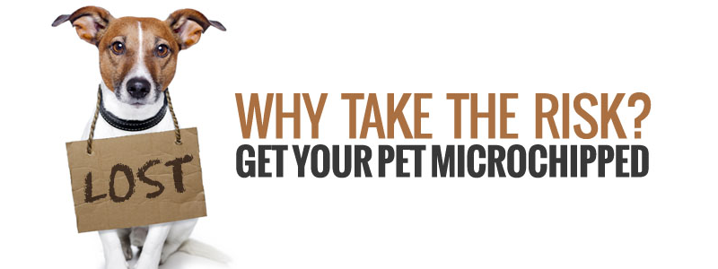 how do i get my dogs microchip information change