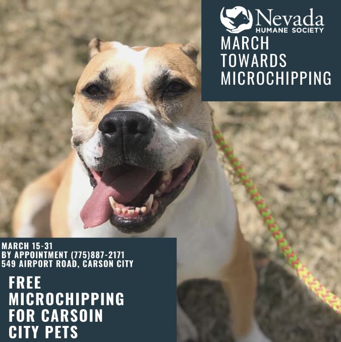 carson city dog waste voice and sight control