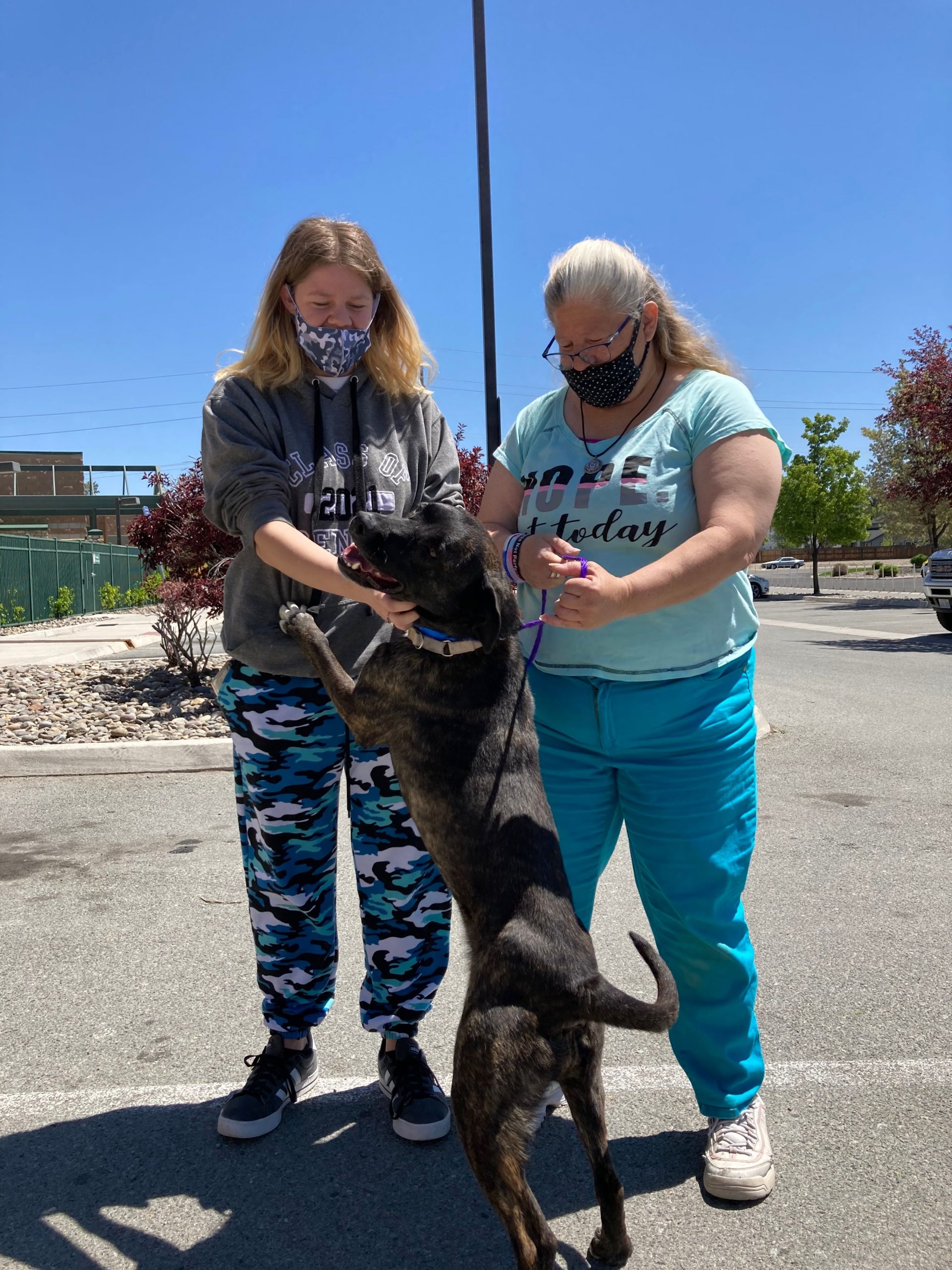 Sassy's Way Home – Nevada Humane Society | With Shelters located in Reno,  and Carson City, the Nevada Humane Society Caring is a charitable,  non-profit organization that accepts all pets, finds them