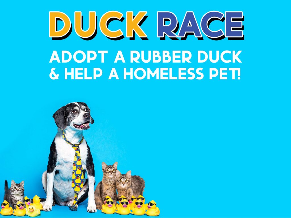Duck Race & Festival Nevada Humane Society With Shelters located in