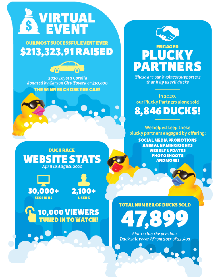 Duck-Race-Stats-Mobile