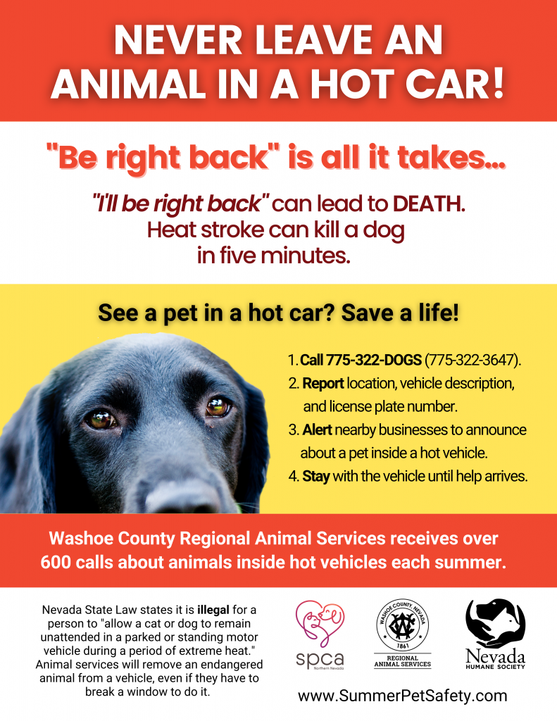 Never Leave your Pet in a Hot Car – Nevada Humane Society | With Shelters  located in Reno, and Carson City, the Nevada Humane Society Caring is a  charitable, non-profit organization that