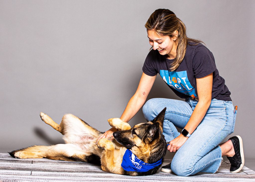 The Importance of Enrichment and Exercise – Nevada Humane Society  With  Shelters located in Reno, and Carson City, the Nevada Humane Society Caring  is a charitable, non-profit organization that accepts all